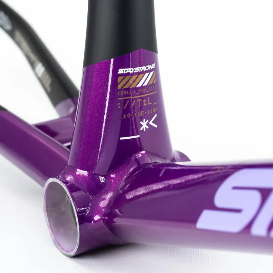 Stay Strong V5 Disc Only Frame 2025 Purple/Black